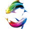 peces - PNG gratuit GIF animé