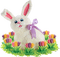 Kaz_Creations Easter Deco Bunny - png gratis GIF animasi