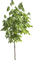 дерево - GIF animé gratuit