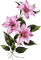 Цветы - zadarmo png animovaný GIF