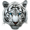 White Tiger - kostenlos png Animiertes GIF