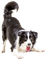 Собака - ingyenes png animált GIF