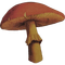 Mushroom - nemokama png animuotas GIF