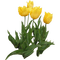 tulips - gratis png geanimeerde GIF