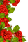 Kaz_Creations Deco Flowers - безплатен png анимиран GIF