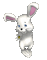 ani-  bunny-  hare - Ingyenes animált GIF animált GIF