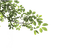 branch bp - 免费PNG 动画 GIF