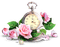 Déco fleurs - darmowe png animowany gif