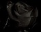 Black Rose - δωρεάν png κινούμενο GIF