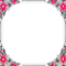soave frame corner circle christmas flowers winter - Free PNG Animated GIF