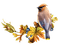 oiseaux - darmowe png animowany gif