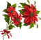Kaz_Creations Christmas  Deco Flowers Flower Colours - PNG gratuit GIF animé