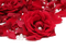 pearls and roses - ingyenes png animált GIF