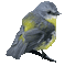 bird - Animovaný GIF zadarmo animovaný GIF