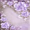 purple milla1959 - Ücretsiz animasyonlu GIF animasyonlu GIF