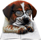 perro haciendo los deberes - kostenlos png Animiertes GIF