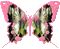 papillon chat - Gratis geanimeerde GIF geanimeerde GIF