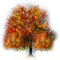 arbol otoño  dubravka4 - gratis png geanimeerde GIF
