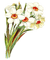 flores  dubravka4 - png gratuito GIF animata