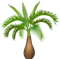 palmera - bezmaksas png animēts GIF