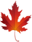Leaf - 免费PNG 动画 GIF