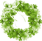 shamrock wreath - PNG gratuit GIF animé