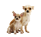 Kaz_Creations Animated Dog Pup - Darmowy animowany GIF animowany gif