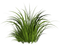 grass bp - Free PNG Animated GIF