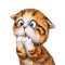 Funny cat - PNG gratuit GIF animé