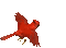 Cardinal 4 - Darmowy animowany GIF animowany gif