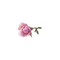 kikkapink deco scrap pink flower - ingyenes png animált GIF