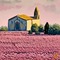 Pink Field and Building - png gratis GIF animado