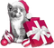 soave animals cat christmas winter gift box - PNG gratuit GIF animé