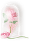 Pink Rose - nemokama png animuotas GIF
