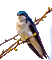 oiseaux - Бесплатный анимированный гифка анимированный гифка