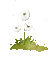 Dandelion - 無料のアニメーション GIF アニメーションGIF