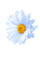 daisy deco - Free PNG Animated GIF