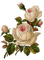 Nina flower - ücretsiz png animasyonlu GIF