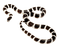 Kaz_Creations Snakes Snake - безплатен png анимиран GIF
