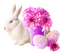 пасха заяц, цветы,Карина - png gratis GIF animado