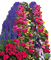 Pflanze - безплатен png анимиран GIF