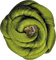 Kaz_Creations Deco Flowers Flower Green - bezmaksas png animēts GIF