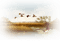 landskap--landscape--beige - Free PNG Animated GIF