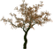 tree katrin - δωρεάν png κινούμενο GIF