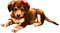dog Karina - Free PNG Animated GIF