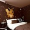 Brown Eevee Bedroom - δωρεάν png κινούμενο GIF