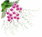 fleurs5966 - png gratis GIF animasi