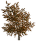 tree anastasia - ingyenes png animált GIF