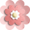 Fleur  Rose Pastel:) - Free PNG Animated GIF