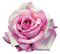 rose Bb2 - бесплатно png анимированный гифка